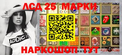 гидра Можга