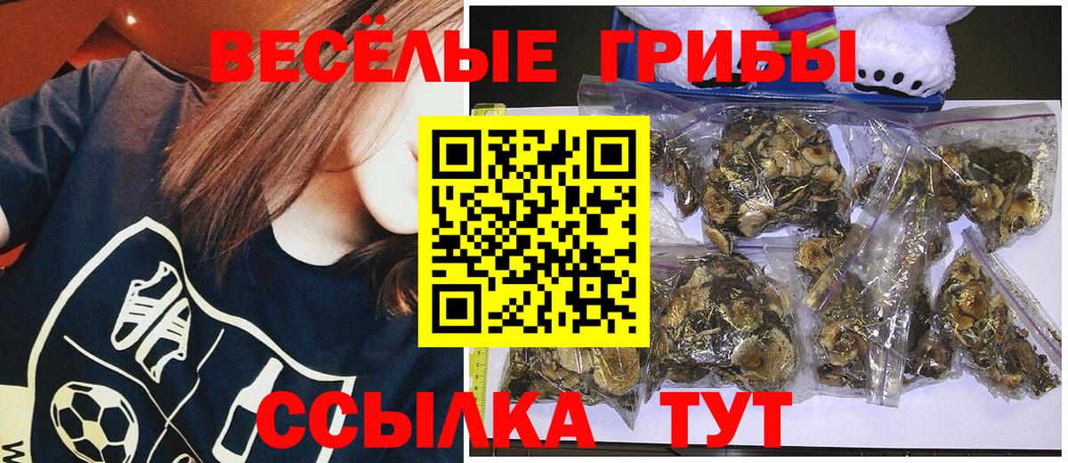 Трёхгорный  Галлюциногенные грибы Psilocybine cubensis  Вход с VPN  Псилоцибиновые грибы Psilocybine cubensis 