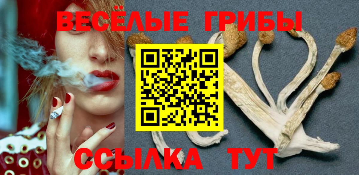 Трёхгорный  ТГК  МЕФ   Вход с VPN  ГАШ  Бошки Шишки  А ПВП СОЛЬ кристаллы  Cocaine 