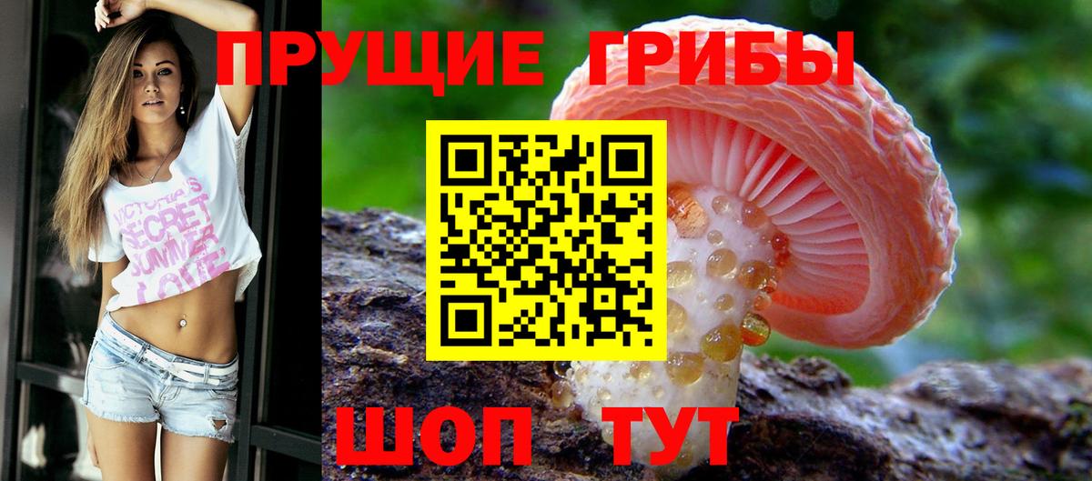 Псилоцибиновые грибы GOLDEN TEACHER Трёхгорный