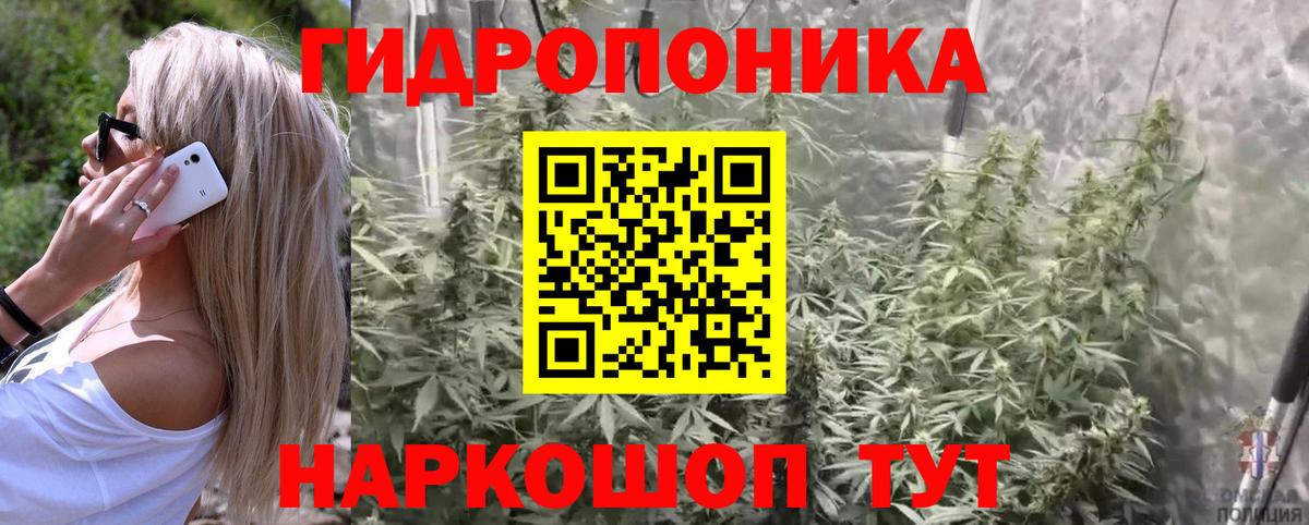 Шишки марихуана планчик Трёхгорный